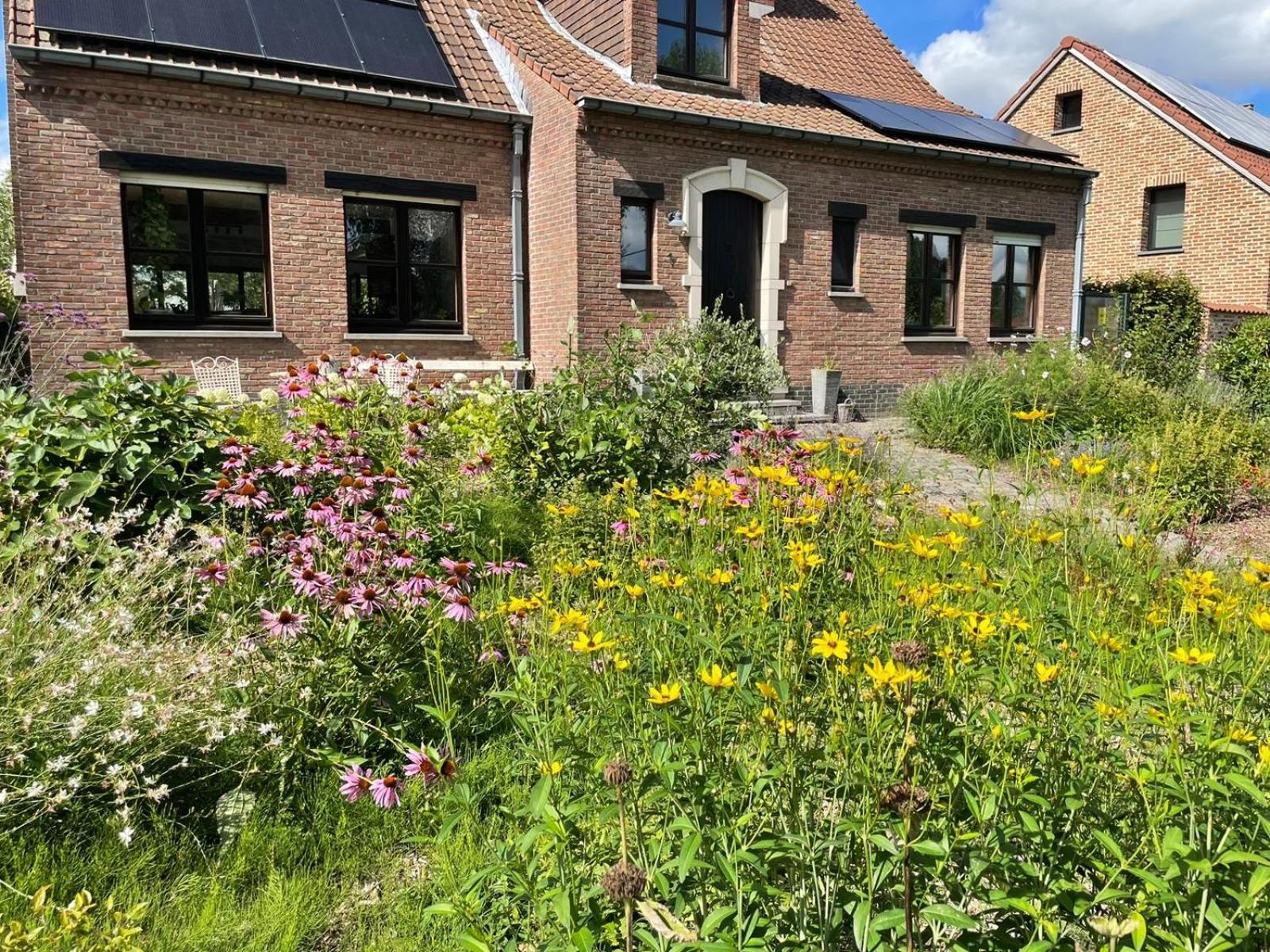 B&B Den Biesthoek Grimbergen Esterno foto